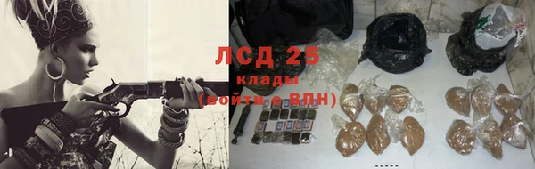круглые Карпинск