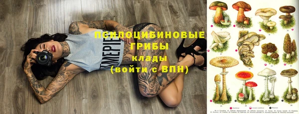 круглые Карпинск