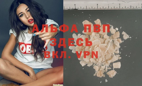 индика Киренск
