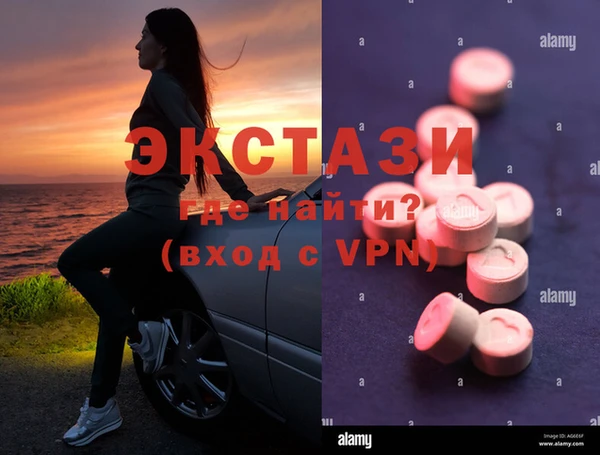 прущие грибы Каменск-Шахтинский
