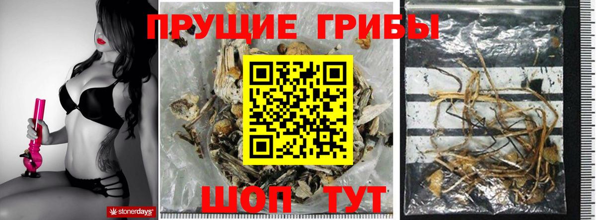 Кировск  Псилоцибиновые грибы Magic Shrooms  Вход с VPN 